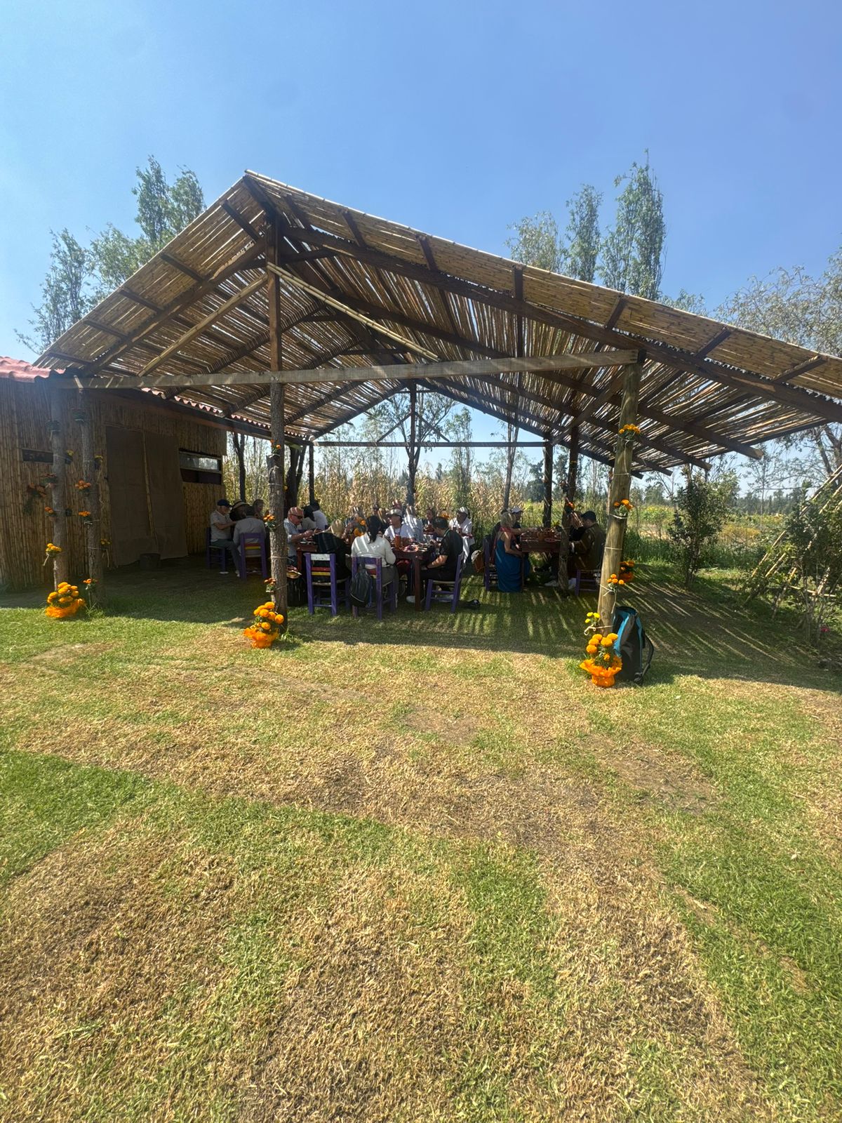 Chinampa de los Abuelos