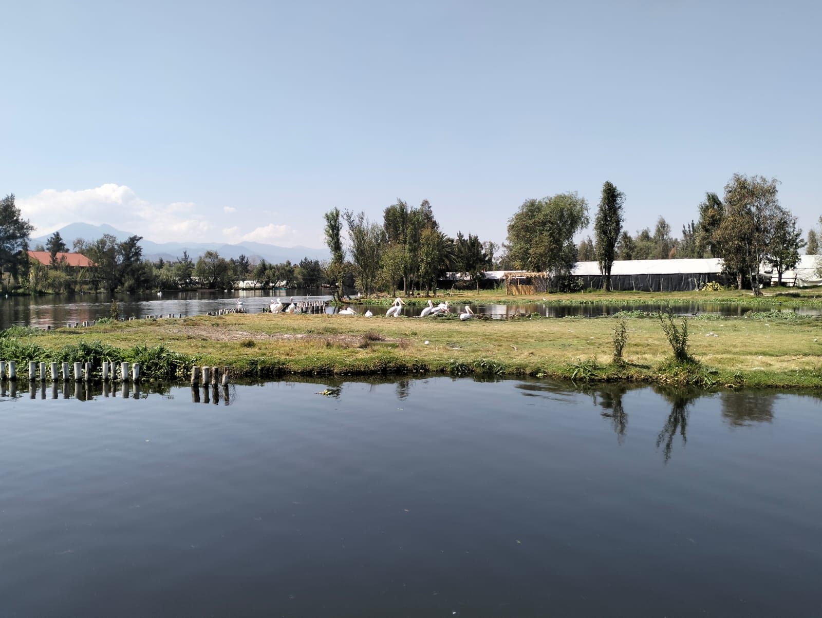 Canales de Xochimilco
